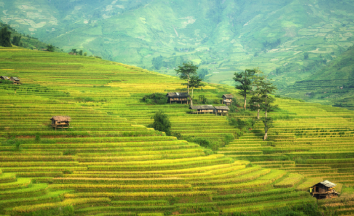 anyror rural land record